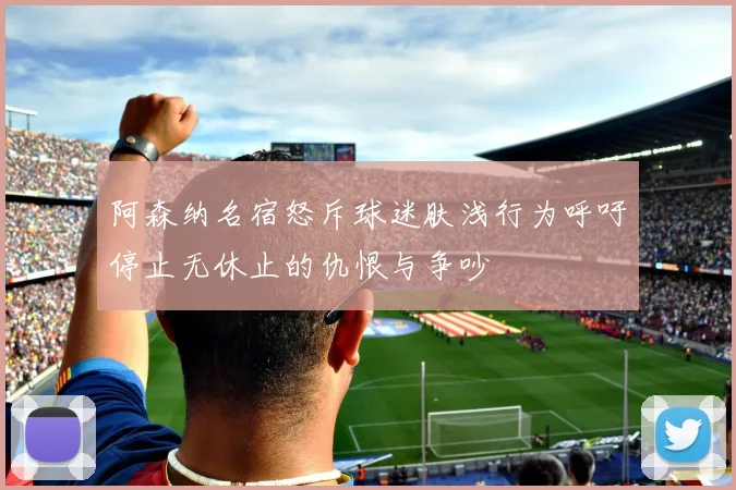 阿森纳名宿怒斥球迷肤浅行为呼吁停止无休止的仇恨与争吵