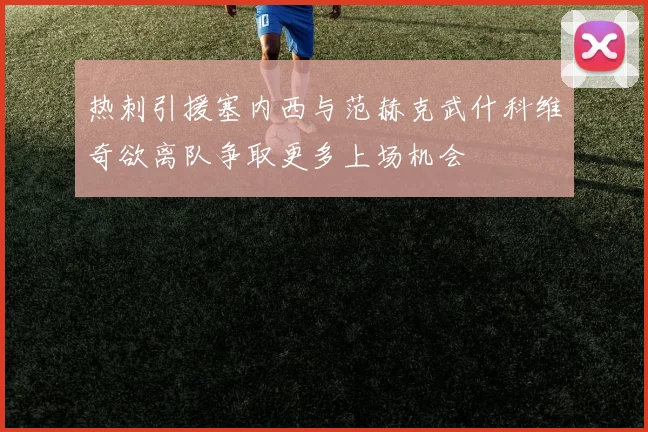 热刺引援塞内西与范赫克武什科维奇欲离队争取更多上场机会